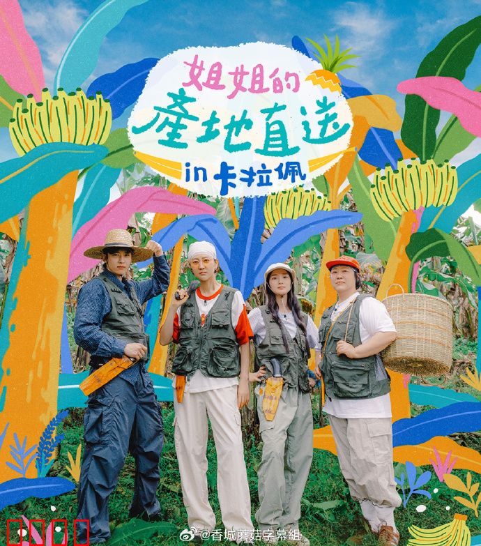 姐姐家的产地直送3：新鲜到家