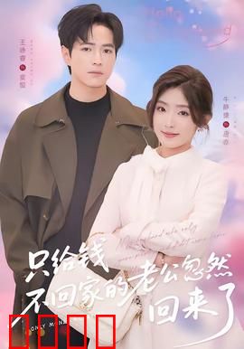 只给钱不回家的老公忽然回来了：卧底终现身