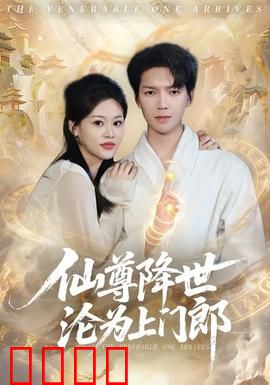 仙尊降世沦为上门郎：废婿逆袭