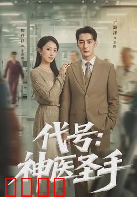 代号：孤胆复仇