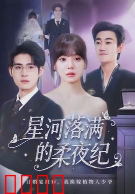 星河落满的柔夜纪：星辰之恋