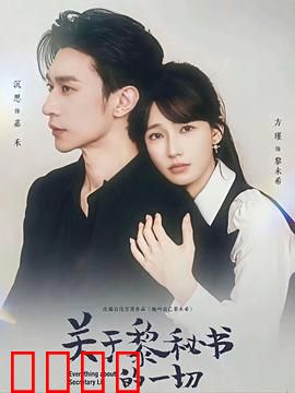 关于黎秘书的一切：职场迷局