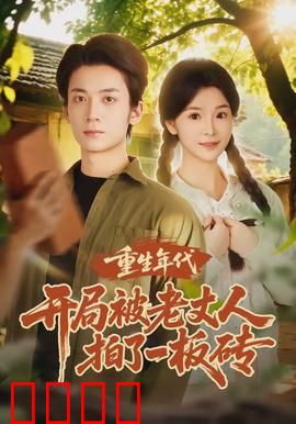 重生年代开局被老丈人拍了一板砖：逆袭新时代