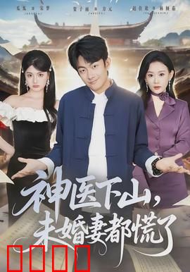 神医下山，未婚妻都慌了：逆袭传奇