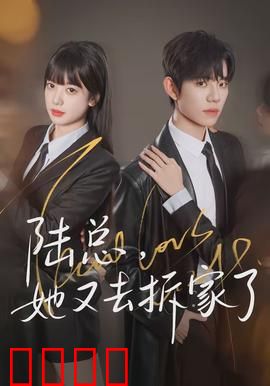 陆总，她又去拆家了：甜宠爆笑