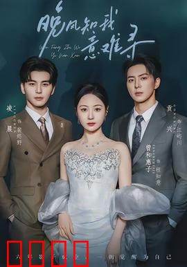 晚风知我意难寻：岁月无声情未了