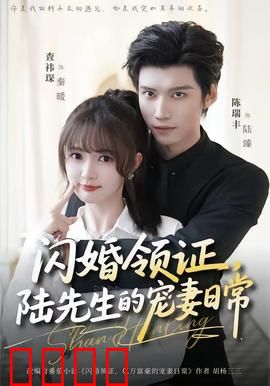 闪婚领证，陆先生的宠妻日常：甜蜜婚后恋
