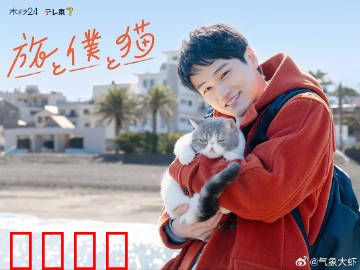 旅行和我和猫：治愈系公路片