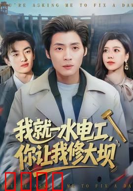 我就一水电工，你让我修大坝：水电工逆袭
