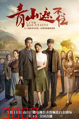 青山遮不住：黎明前的坚守