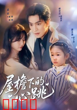 屋檐下的心跳：无声的守护