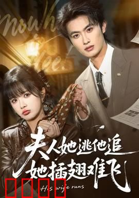 夫人她逃他追，她插翅难飞：豪门虐恋