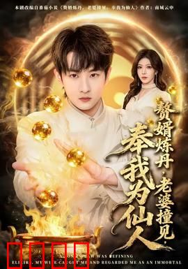 赘婿炼丹，老婆撞见，奉我为仙人：一朝成仙