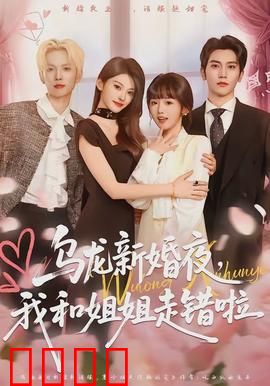 乌龙新婚夜，我和姐姐走错啦：爆笑婚礼乌龙