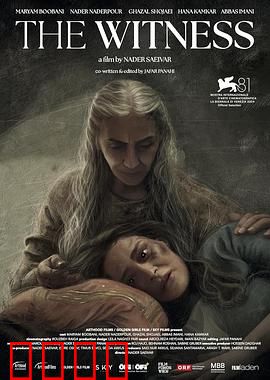 证人2024：谁在说谎