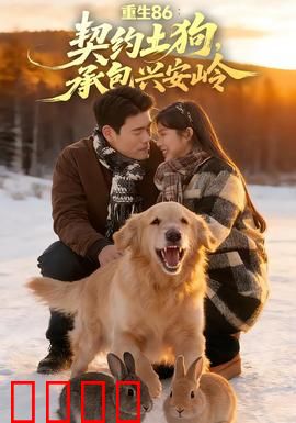 《重生86：逆袭1986》