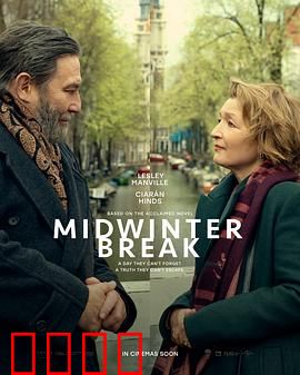 仲冬假期：雪夜归途