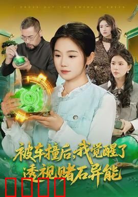 被车撞后，我觉醒了透视赌石异能了：赌石逆袭