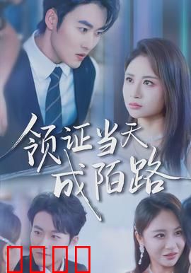 领证当天成陌路：手机秘密曝光