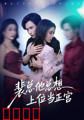 裴总他总上位当正宫：逆袭夺爱之战