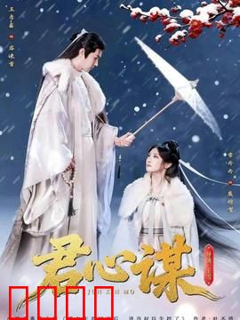 君心谋：步步为营的权谋之局