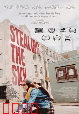 窃取天空：天空守护者