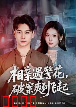 相亲遇警花，破案爽到飞起：警花搭档