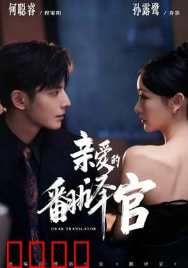 亲爱的翻译官：职场情缘