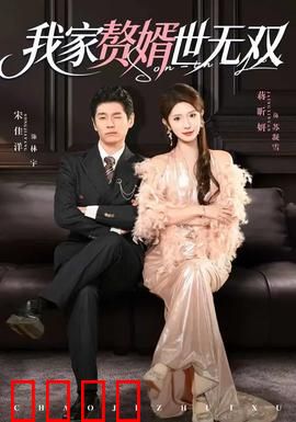 我家赘婿世无双：赘婿逆袭传