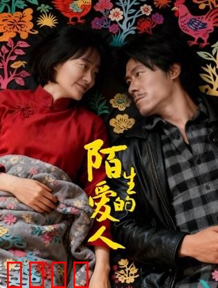 陌生的爱人：命运邂逅