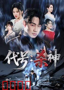 代号：孤胆英雄