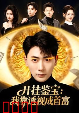 开挂鉴宝：奇遇鉴宝逆袭