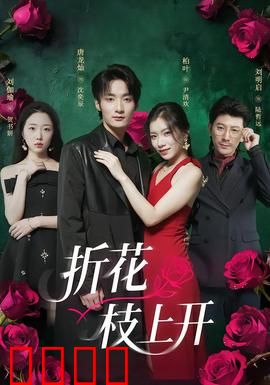 折花枝上开：嫁给他之后