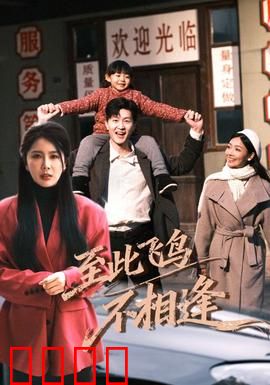 到此飞鸟不相逢：错过的深情