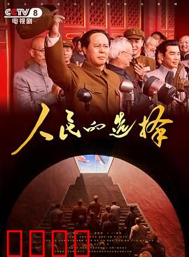 人民的选择：投票风云