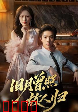 旧月曾照故人归：月下重逢泪千行