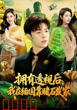 拥有透视后，我在缅国靠赌石发家：透视赌石逆袭