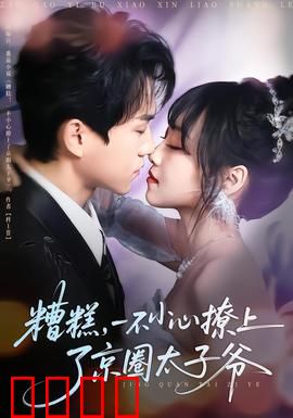 糟糕，一不小心撩上了京圈太子爷：京城第一甜