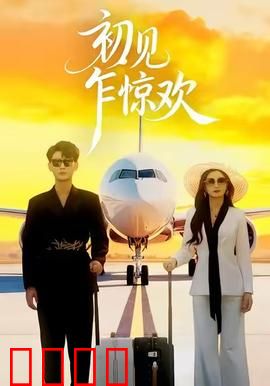 初见乍惊欢：一场怦然心动的邂逅