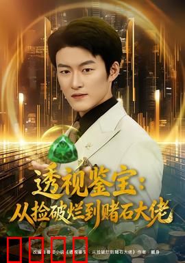 透视鉴宝：透视眼破谜局