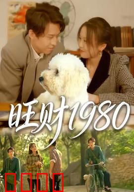 旺财1980：草根逆袭之路