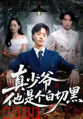 真少爷他是个白切黑：豪门扮猪吃虎