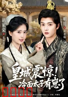 皇城震惊冷面太子有崽了：亲子鉴定惊天下