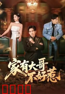 《大哥归来：铁血守护