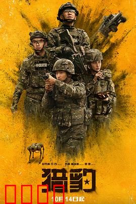 猎豹：速度与生存的传奇