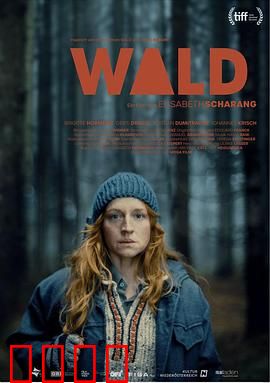 走出丛林：绝境重生