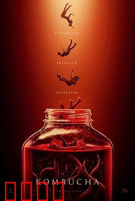 康普茶：发酵的奇迹