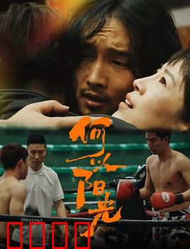 何以阳光：暗夜中的温暖光芒