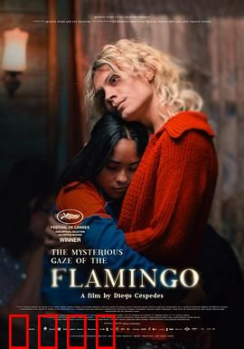 弗拉明戈的神秘眼神：舞动中的致命诱惑