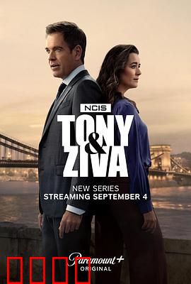 海军罪案调查处：精英小组